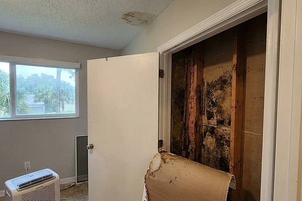 Can Water Damage Cause Hidden Mold in Seminole Homes?